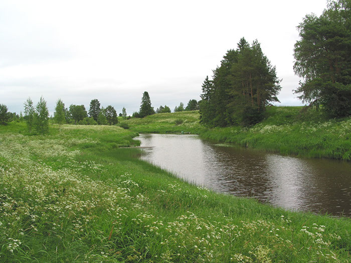 Aurajoki