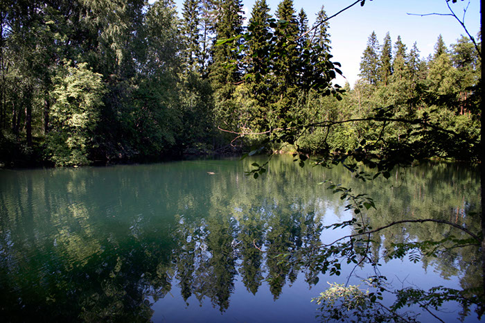 Alastaron_myllylahde